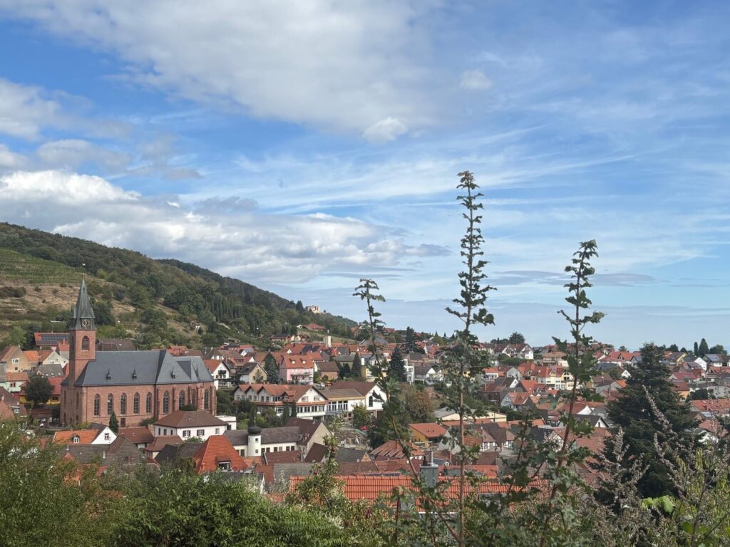 Tagesausflug nach St. Martin am 12.09.2026