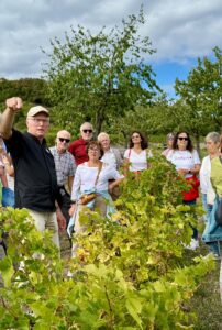 Weinwanderung